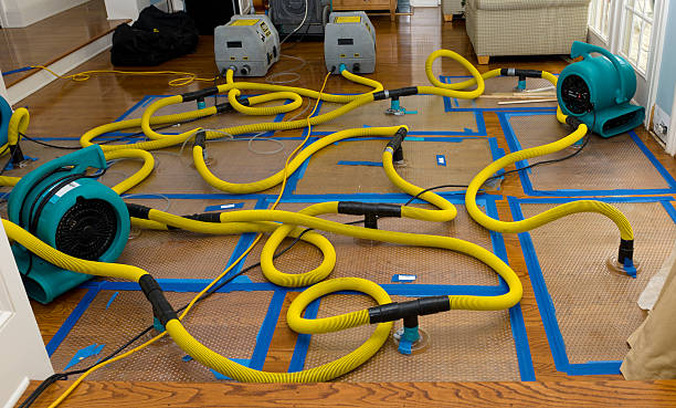 Professional Flood Damage Restoration technician working in Hicksville, NY